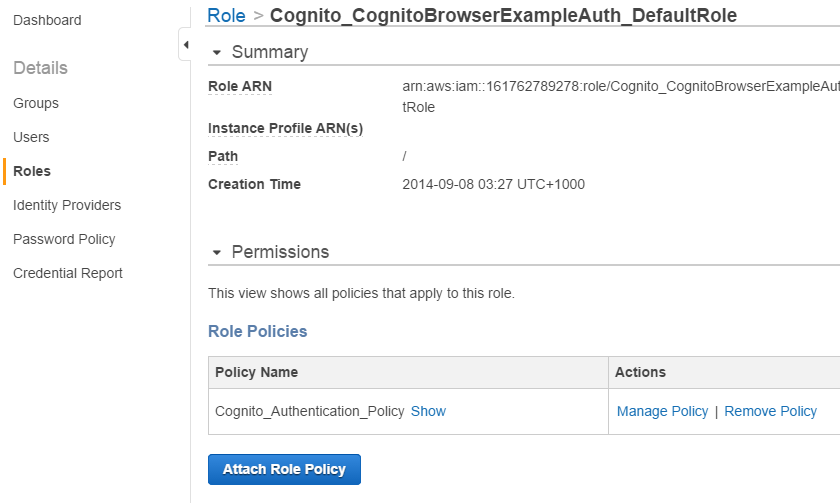 AWS IAM Policy